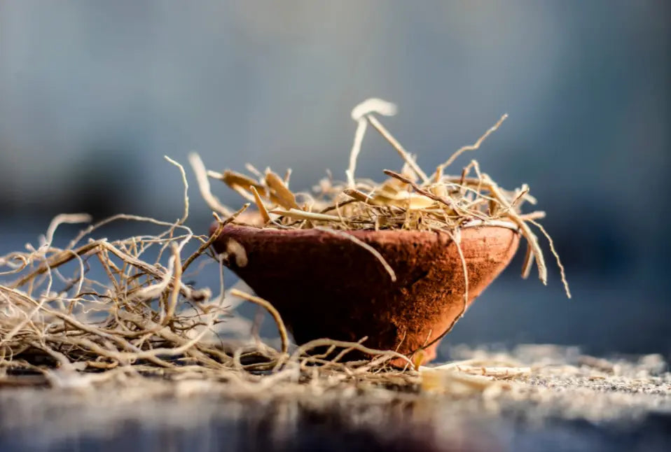 Health Benefits of Vetiver Tea