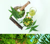 Neem oil benefits for hair, cleaning