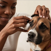 The Best Dog Ear Cleaner: A Guide to Keeping Your Dog's Ears Healthy