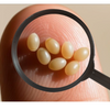Lice Egg on Finger: Are They Contagious Through Hands?
