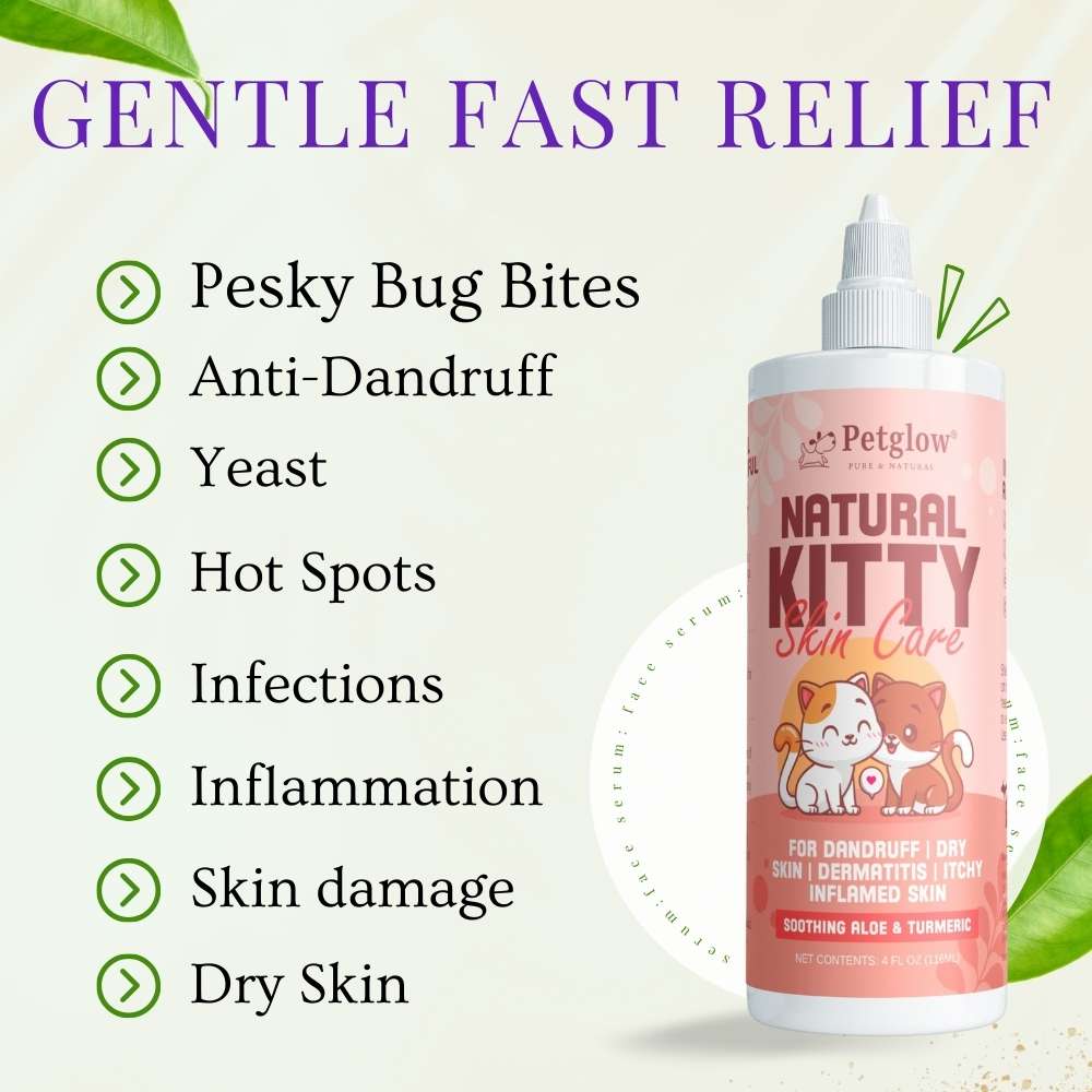 PetGlow Cat Skin Itch Relief Spray - Dandruff & Dry Shampoo | Grooming