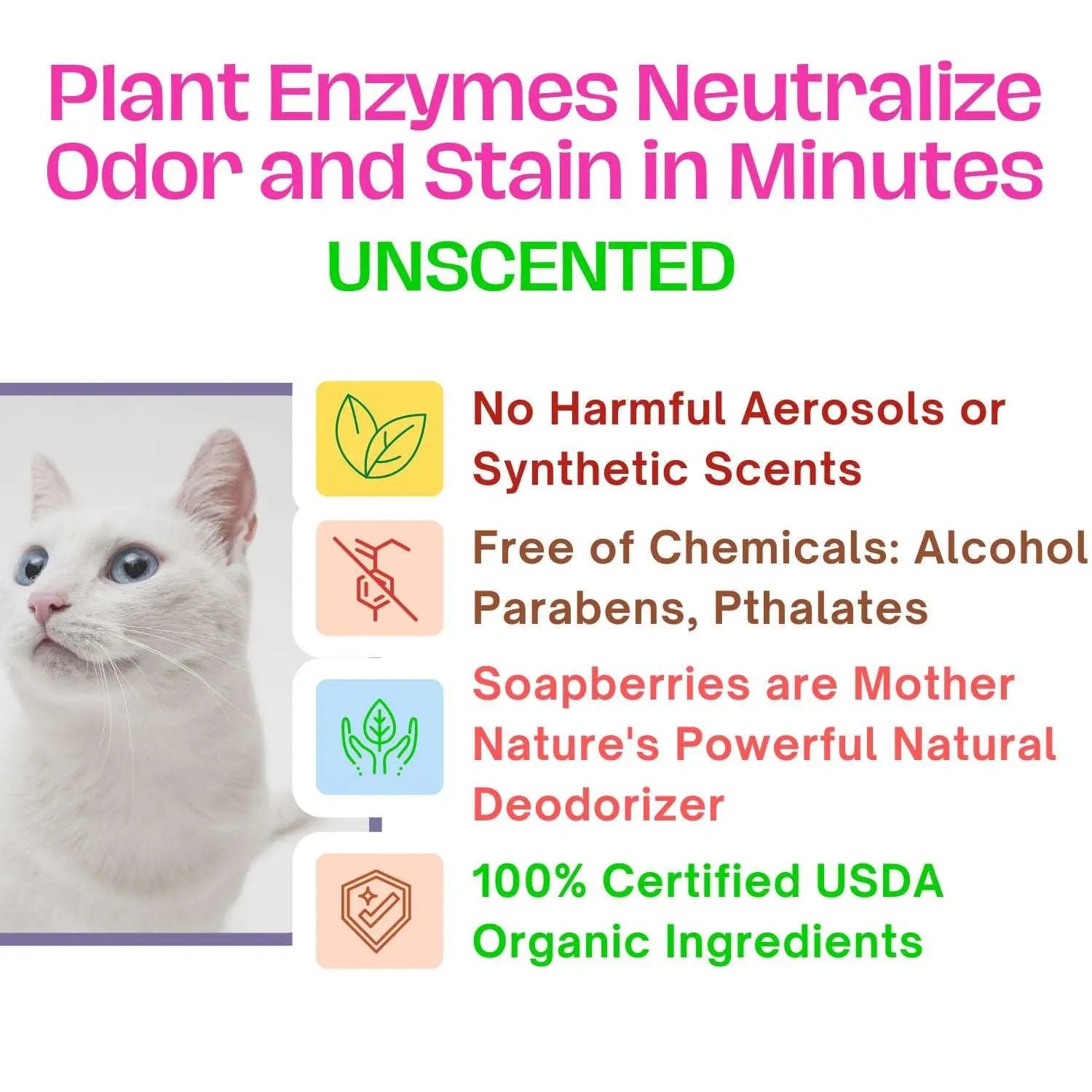 Cat urine odor eliminator with plant enzymes and organic ingredients.
