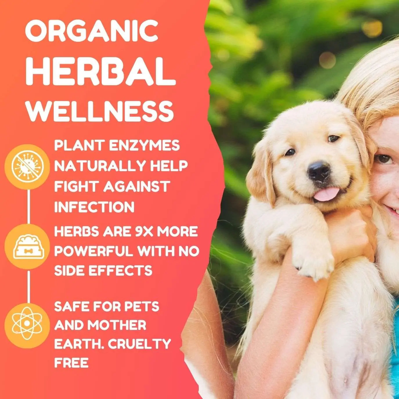 Organic herbs help fight dog ear infection, cruelty-free.