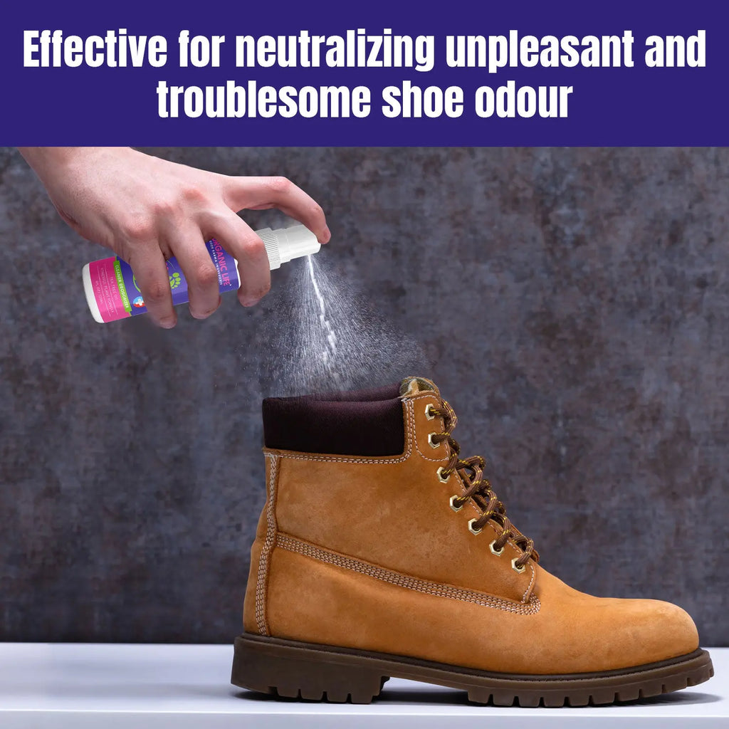 Spraying shoe deodorizer with tea tree oil on a boot.