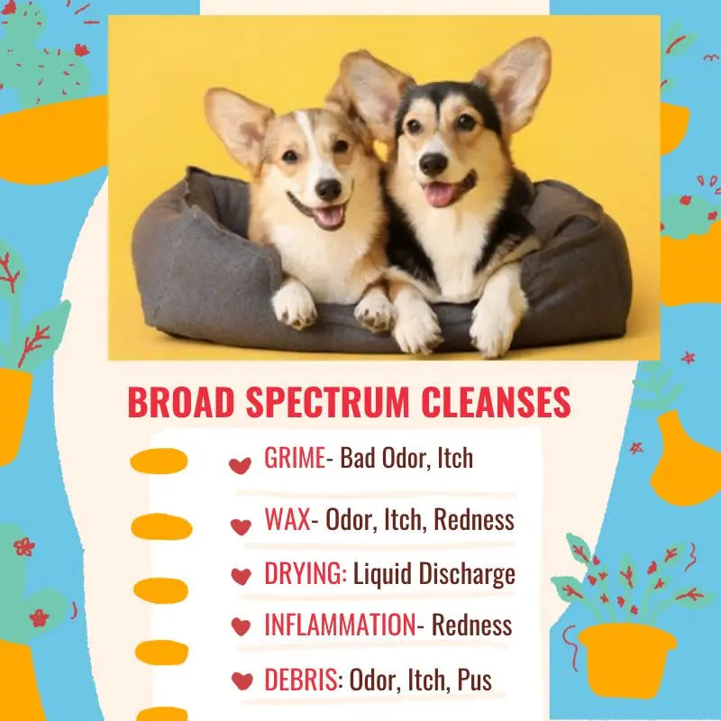 Turmeric Dog Ear Infection Cleaner for Odor, Wax, Debris and Inflammation.
