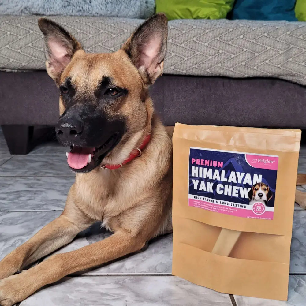 Dog next to package of Himalayan Yak Chew, a rich flavor, long-lasting treat.