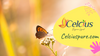 Celcius Organic products using turmeric, shikai, amla and other Good karma ingredients