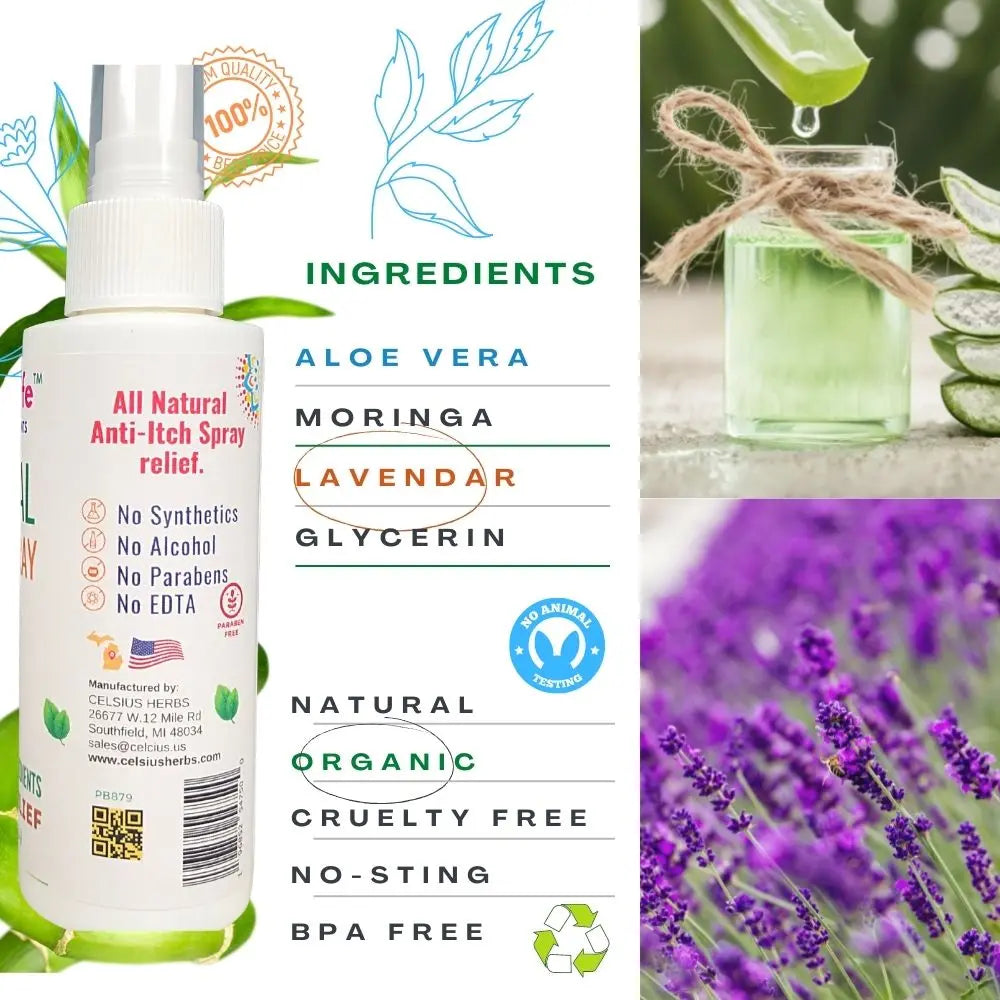Dog dry shampoo for dandruff with natural, organic ingredients including lavender.