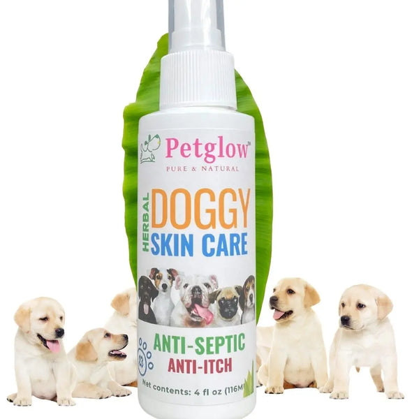 Natural Dog Dandruff Anti-Itch Relief Dry Shampoo.