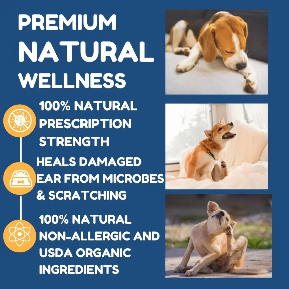 Dog anti-itch shampoo for dandruff relief with natural organic ingredients